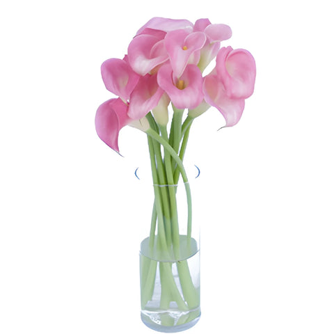 Pink Calla Lily Flower