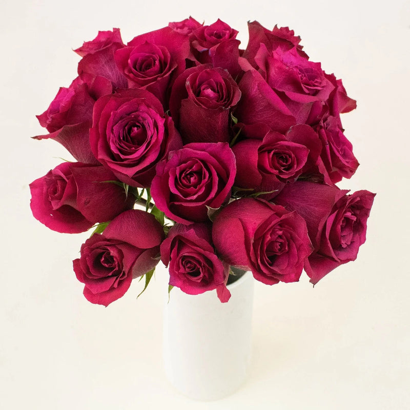 Merlot Red Roses in a Vase