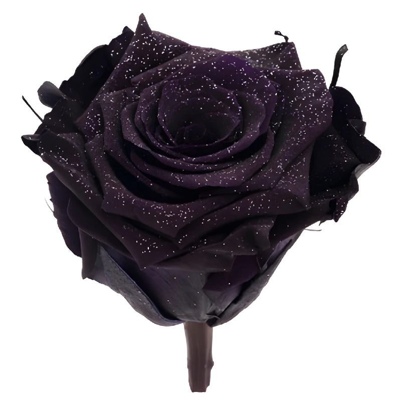 Preserved Metalized Deep Purple Rose