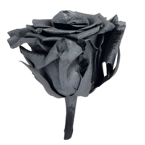 Preserved Metalized Deep Silver Rose