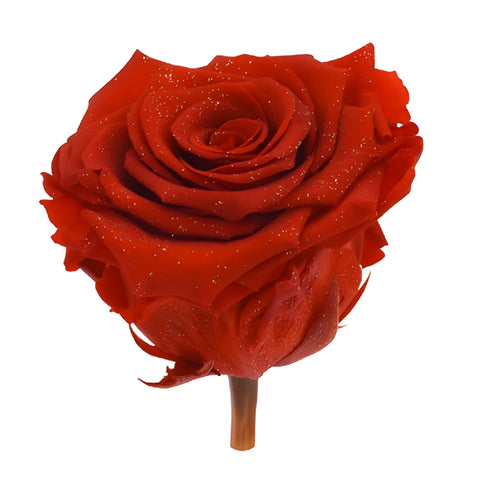 Preserved Metalized Frank Red Rose
