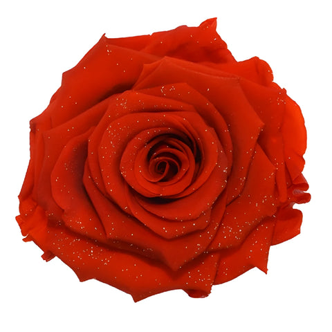 Preserved Metalized Frank Red Rose