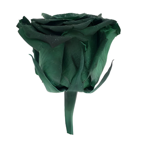Preserved Metalized Olive Green Rose