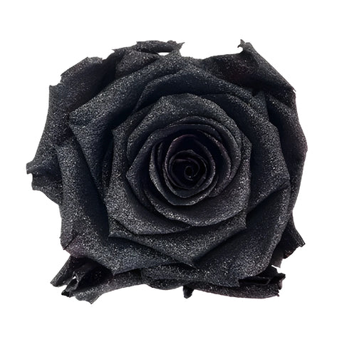 Preserved Metalized Silver Intense Rose