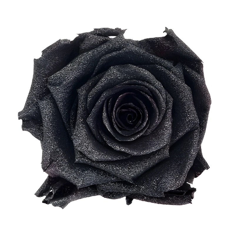 Preserved Metalized Silver Intense Rose