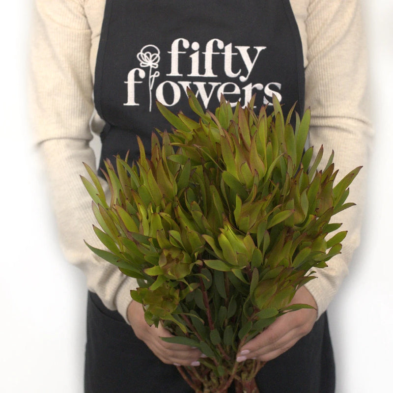 Mini Sandstorm Leucadendron Apron - Image