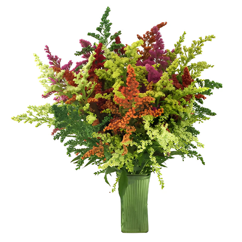 Mix of Enhanced Estelle Solidago Filler Flowers