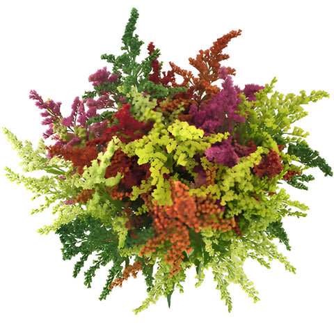 Mix of Enhanced Estelle Solidago Filler Flowers