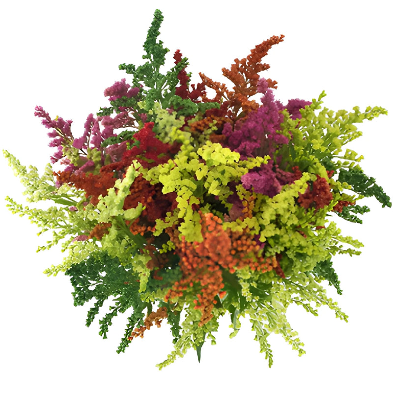 Mix of Enhanced Estelle Solidago Filler Flowers