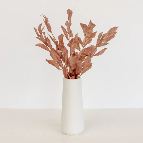Mocha Dried Ruscus Greenery Vase - Image
