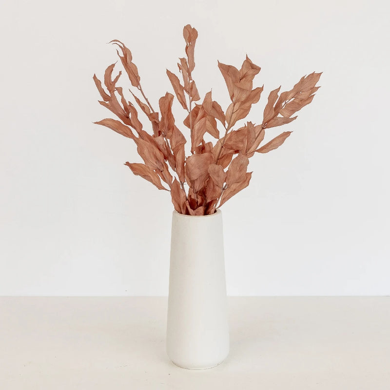 Mocha Dried Ruscus Greenery Vase - Image
