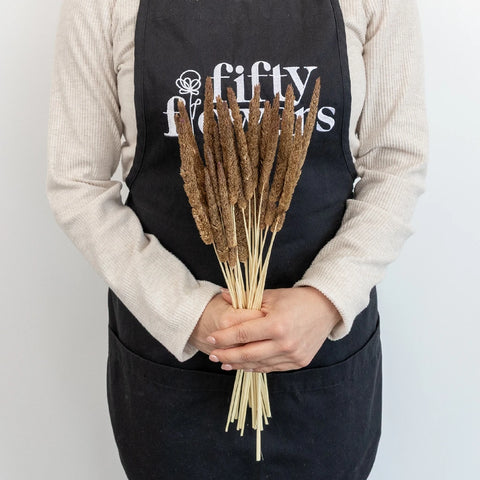 Mocha Dried Typha Grass Apron - Image
