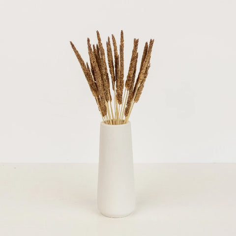 Mocha Dried Typha Grass Vase - Image