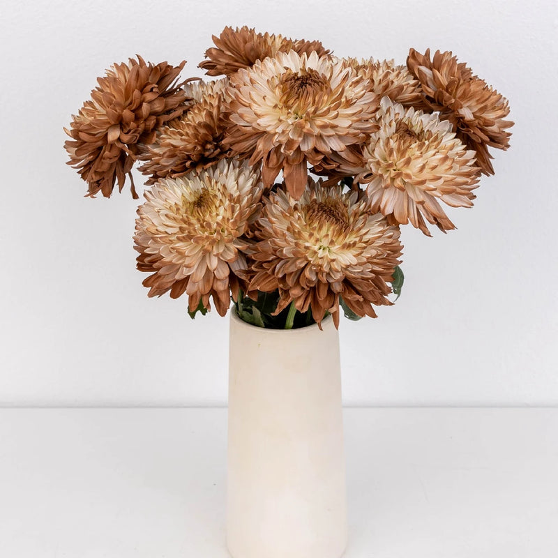 Mocha Mousse Cremon Mum Vase - Image