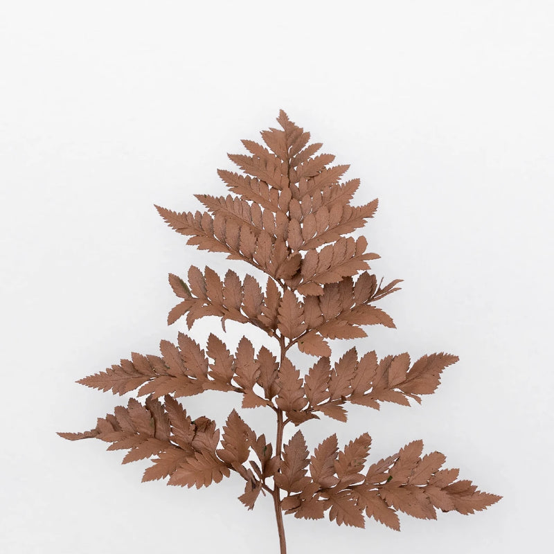 Mocha Mousse Leather Leaf Greenery Stem - Image