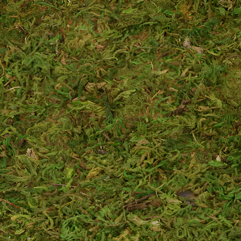 Peel N Stick Mossy Mats