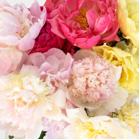 Mother's Day Wholesale Peonies Vase - Image