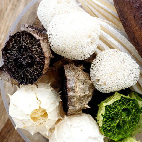Natural Dried Tropical Pack Stem - Image