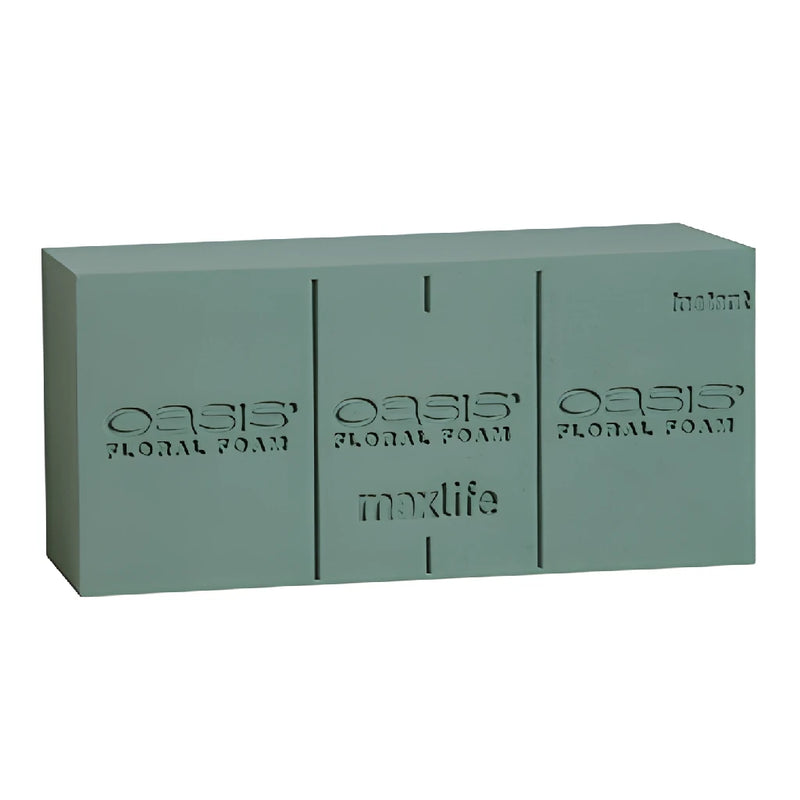 OASIS Instant Deluxe Floral Foam Bricks