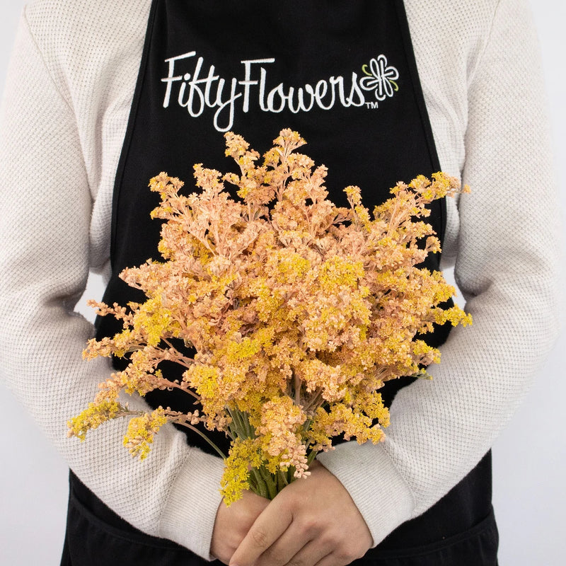 Orange Solidago Flowers Bunch in Hand