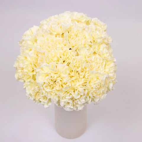 Pastel Yellow Wholesale Carnation Flower Bunch in Vase