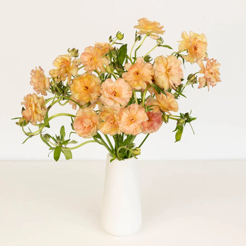Peach Pink Butterfly Ranunculus Flower Vase - Image