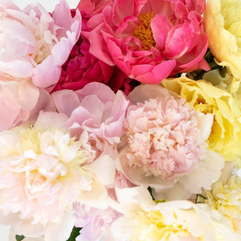 Peonies Flower Mixed Vase - Image