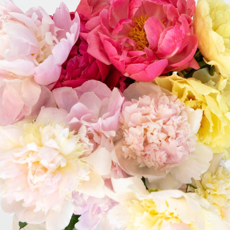 Peonies Flower Mixed Vase - Image