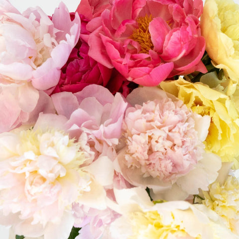 Peonies Flowers Mixed Vase - Image