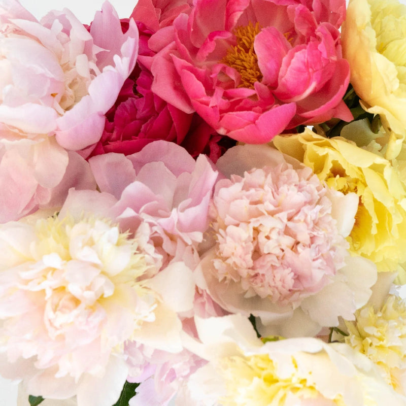 Peony Flower Mixed Vase - Image