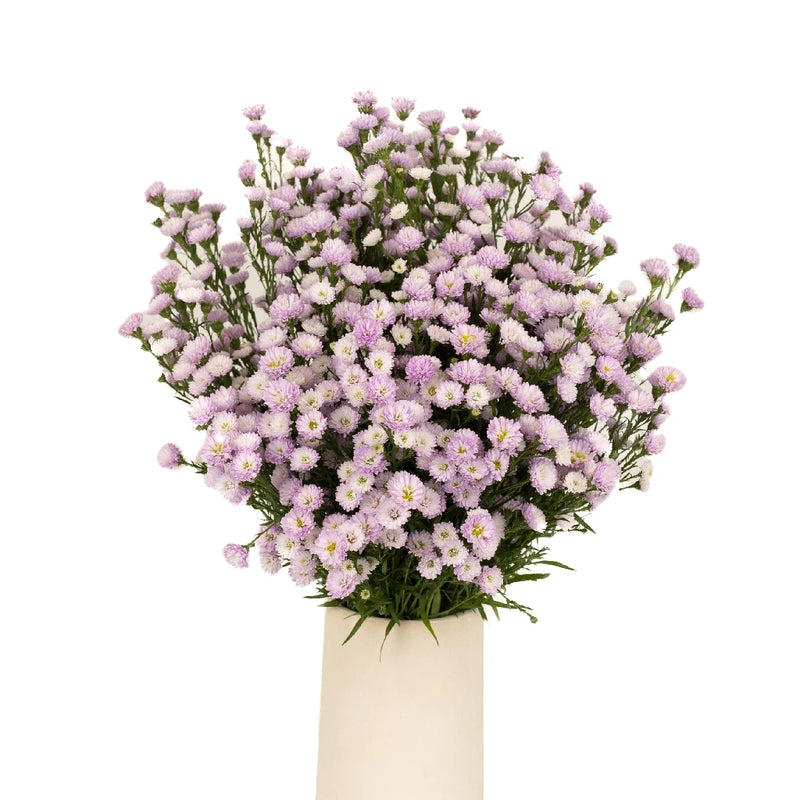 Petite Pink Aster Flower Vase - Image