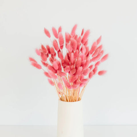 Pink Dried Craspedia Bunny Tails Apron - Image