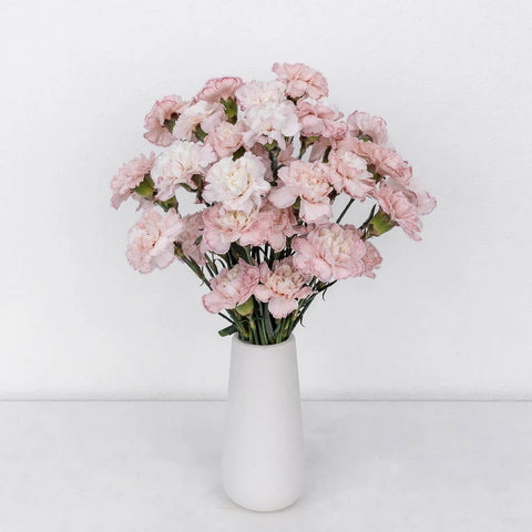 Pink Enhanced Carnation Flowers Vase - Image