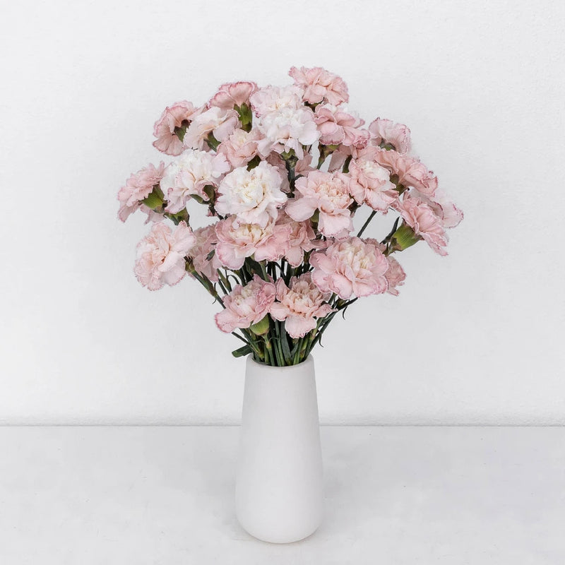 Pink Enhanced Carnation Flowers Vase - Image