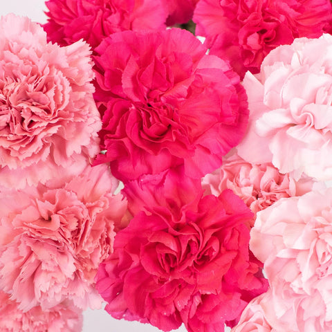Pink and Hot Pink Flower Kit Up Close