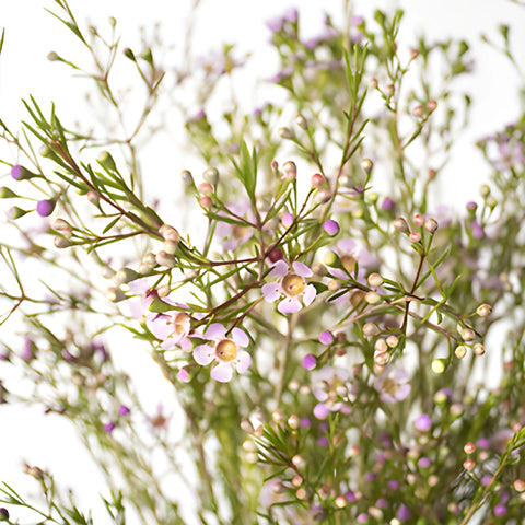 Lavender wax DIY wedding flowers