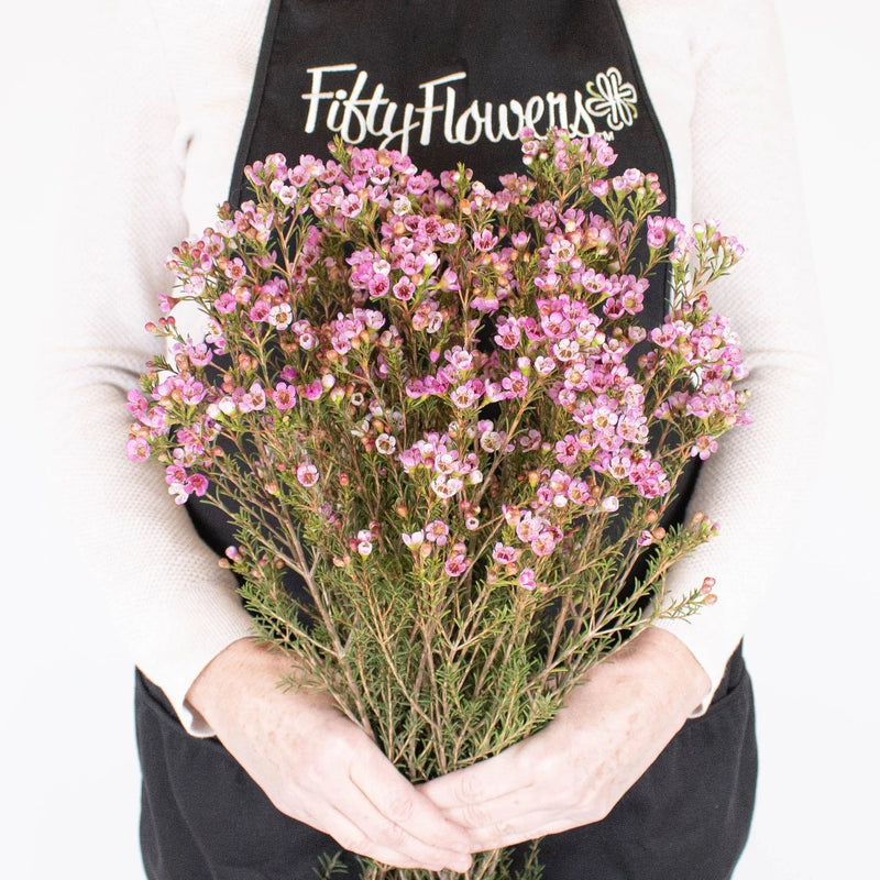 Pinky Lavender Wax Flower in Hands
