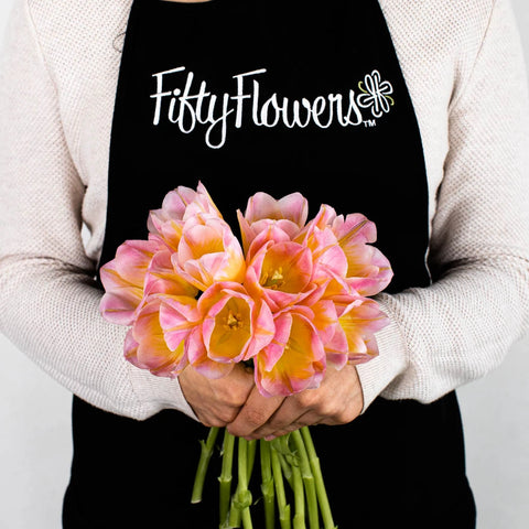 Pink Yellow Tulip Flower Bunch in Hand