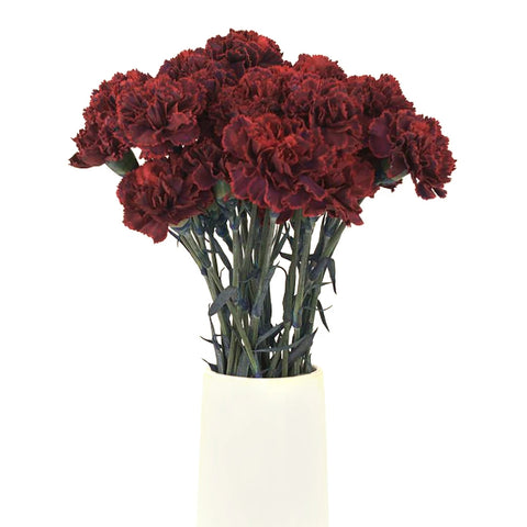Pinot Noir Carnation Flower Vase - Image