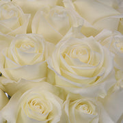 Ready To Go Wholesale Centerpieces Card