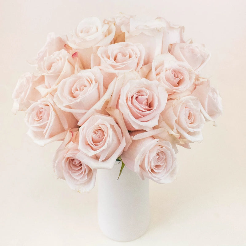 Poma Rosa Blush Roses in a Vase