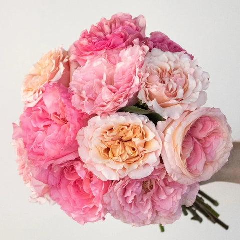 Prepaid Premium Rose Subscription Box - Image