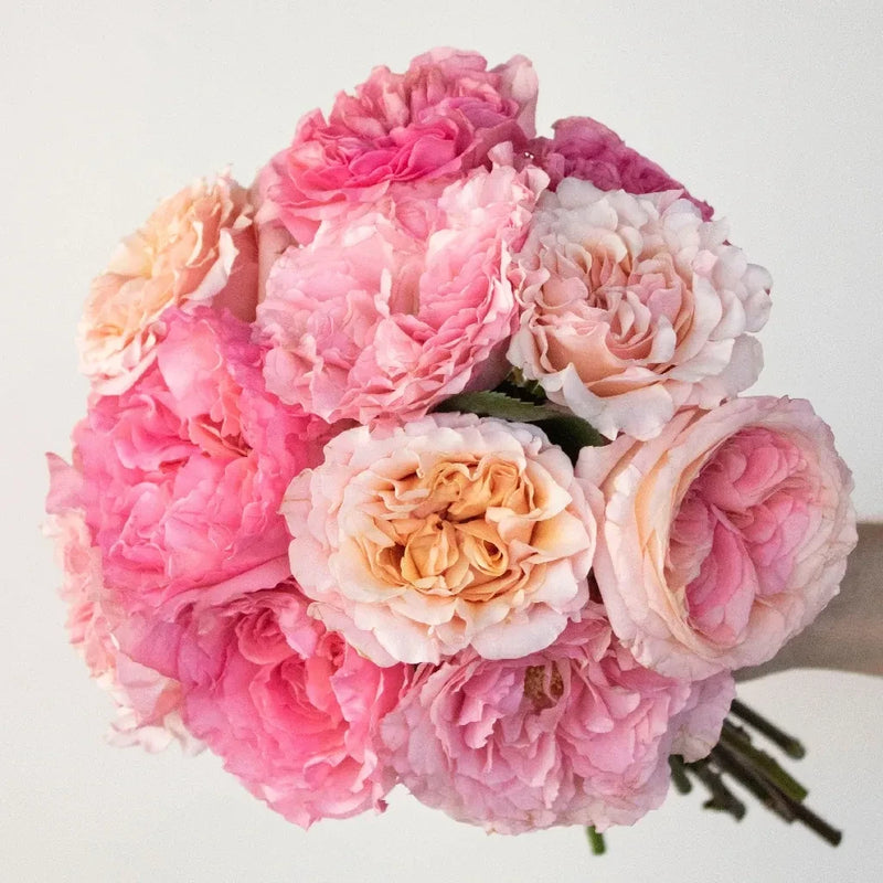 Prepaid Premium Rose Subscription Box - Image
