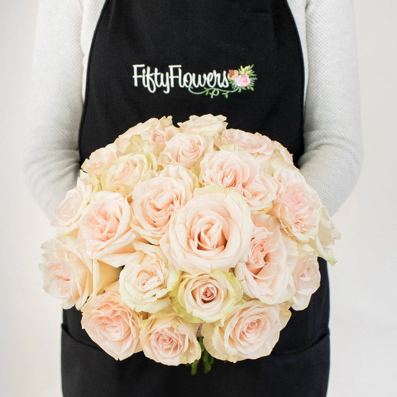 Priority Cream Wholesale Bunch In a Hand