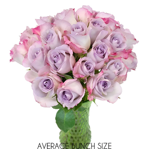 Purple Haze Sweetheart Rosew