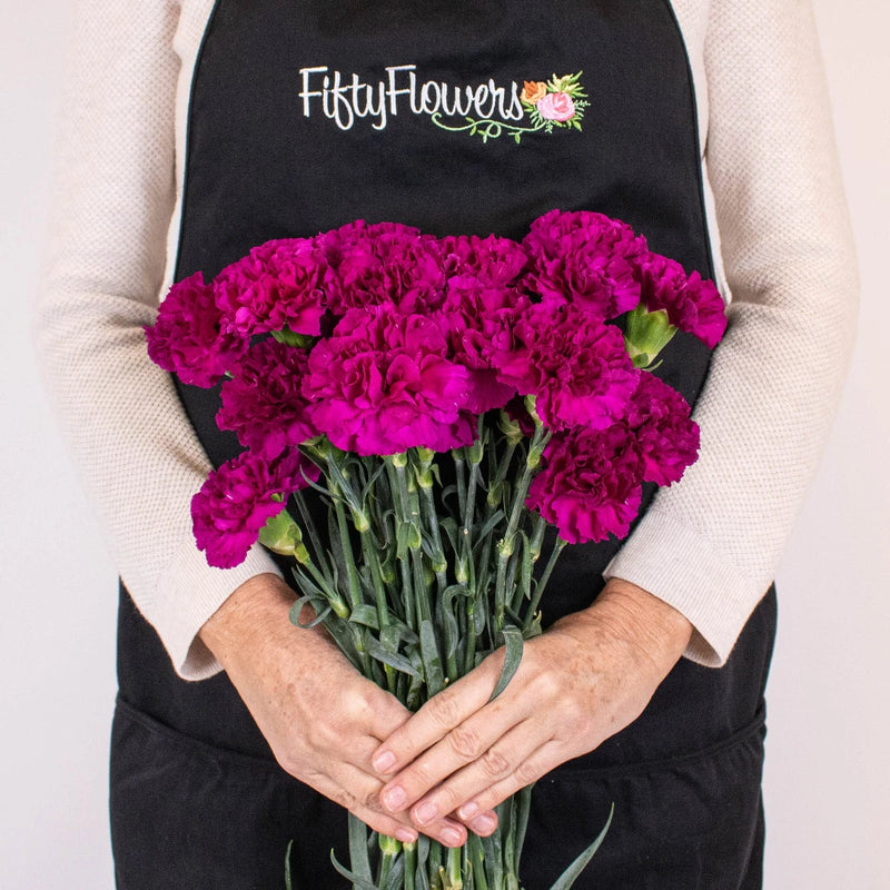 Purpleberry Carnation Flower Bunch in Hand