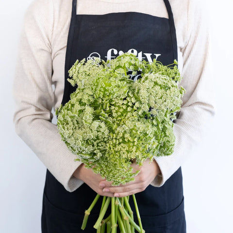 Queen Annes Lace Filler Flower Apron - Image