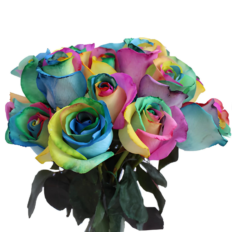 Star Burst Rainbow Roses