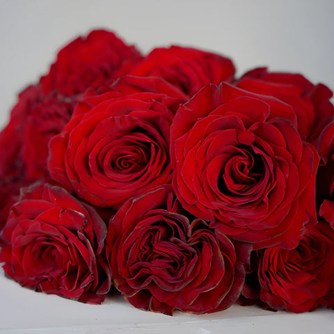 Red Heart Garden Rose Bunch