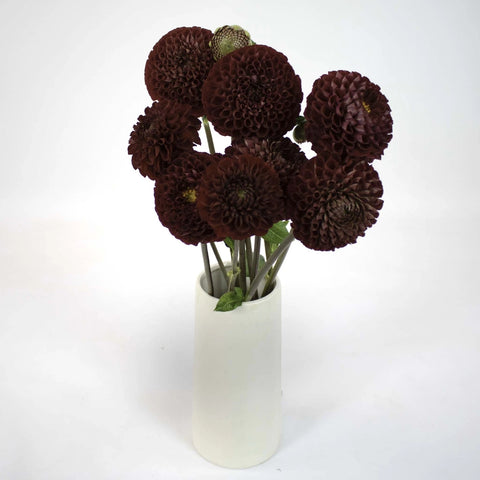 Red Honeycomb Dahlia Flower Bunch in Vase